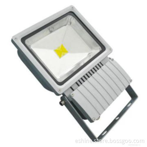 Hot Sell 100WCOB LED Floodlight
